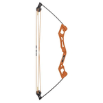 Bear Archery Apprentice Bow Set.jpg