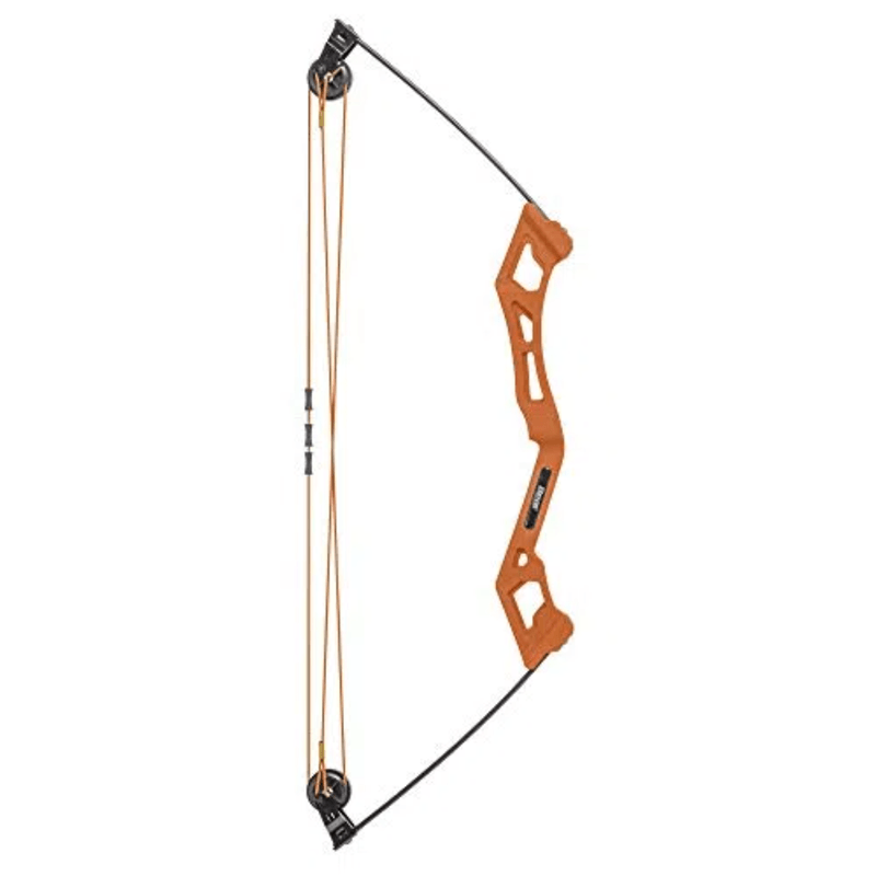 Bear Archery Apprentice Bow Set.jpg