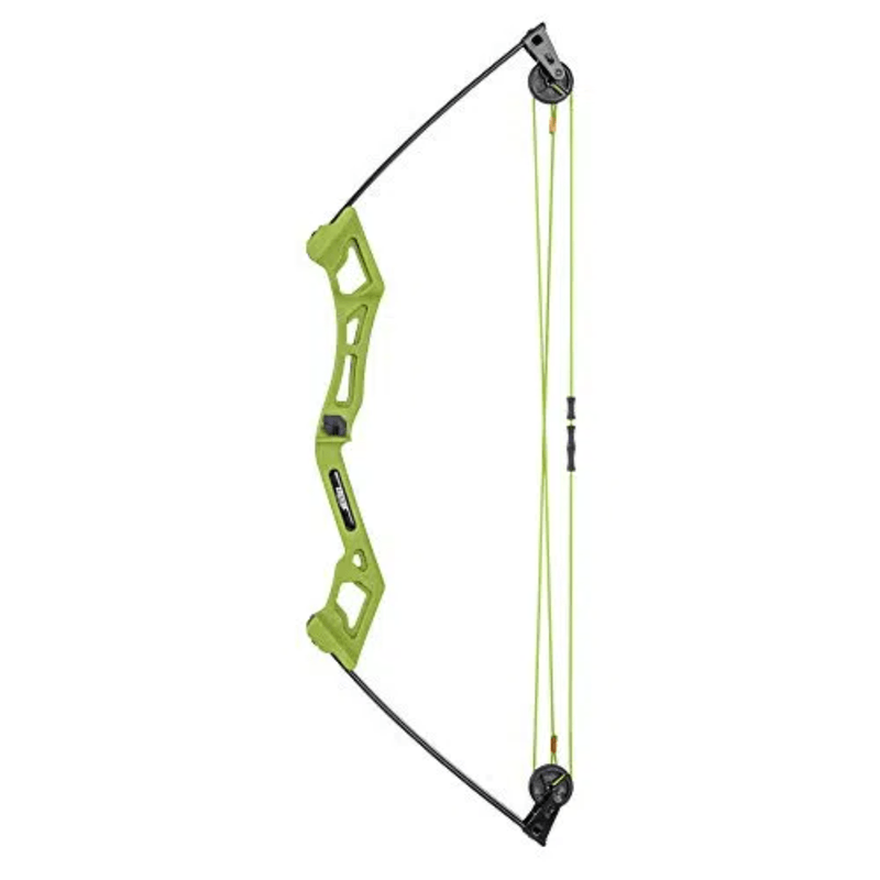 Bear Archery Apprentice Bow Set.jpg