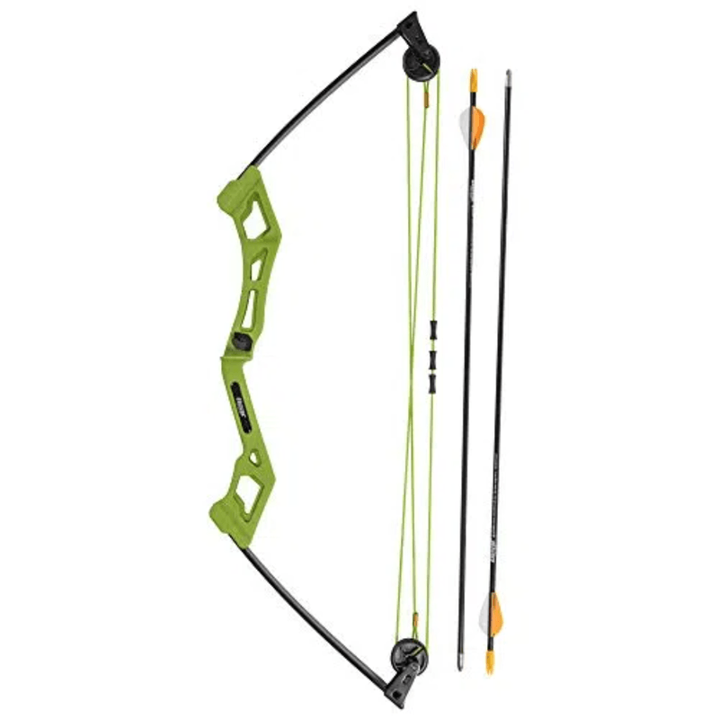 Bear Archery Apprentice Bow Set.jpg