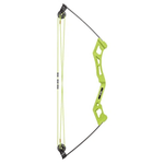 Bear Archery Apprentice Bow Set.jpg