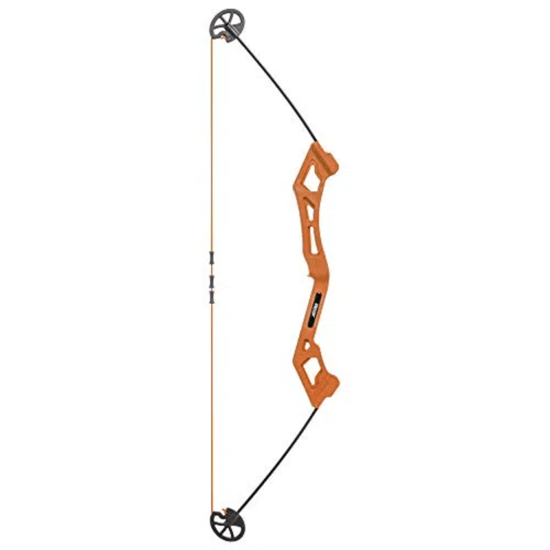 Bear Archery Valiant Bow Set