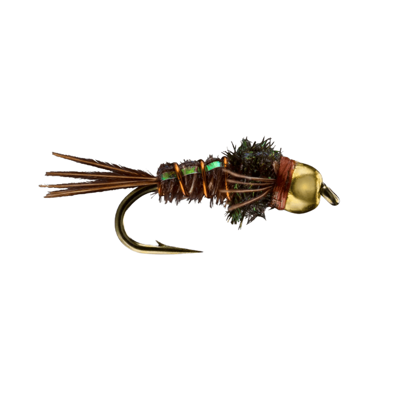 RIO-Pheasant-Tail-Flashback-Bead-Fly.jpg