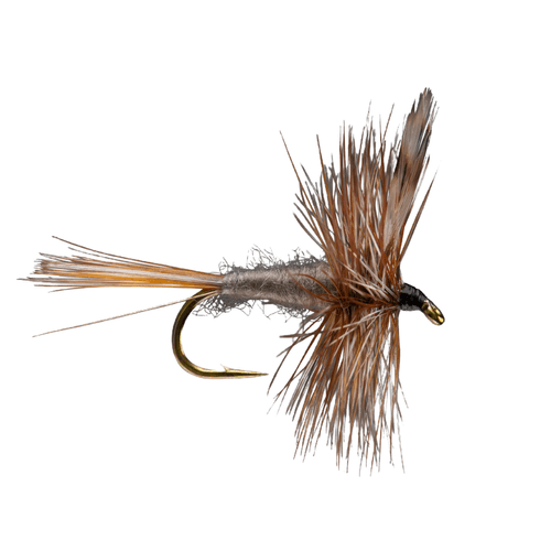 Rio Adams Fly