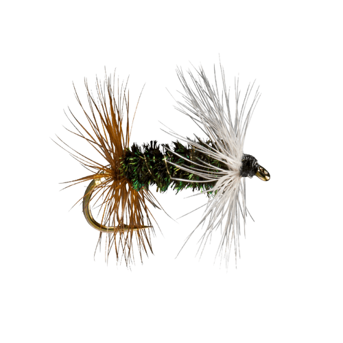 Rio Renegade Fly