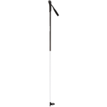 Rossignol-FT-500-Ski-Pole---2020.jpg