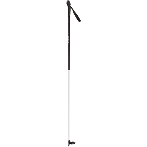 Rossignol FT-500 Ski Pole - 2020