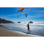 GSIOUT-FREESTYLE-DELTA-KITE.jpg