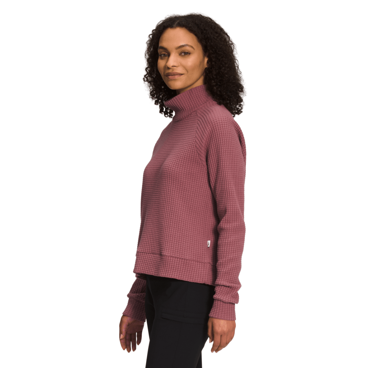 The North Face Long Sleeve Mock Neck Chabot - Women's - Als.com