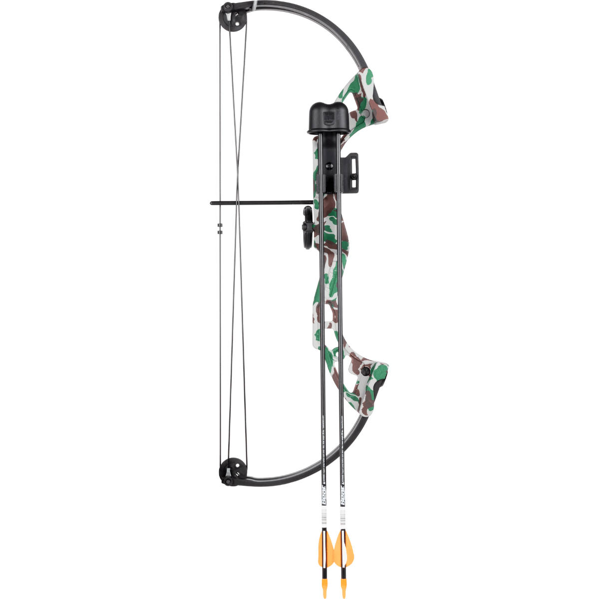 bear compound bow youth