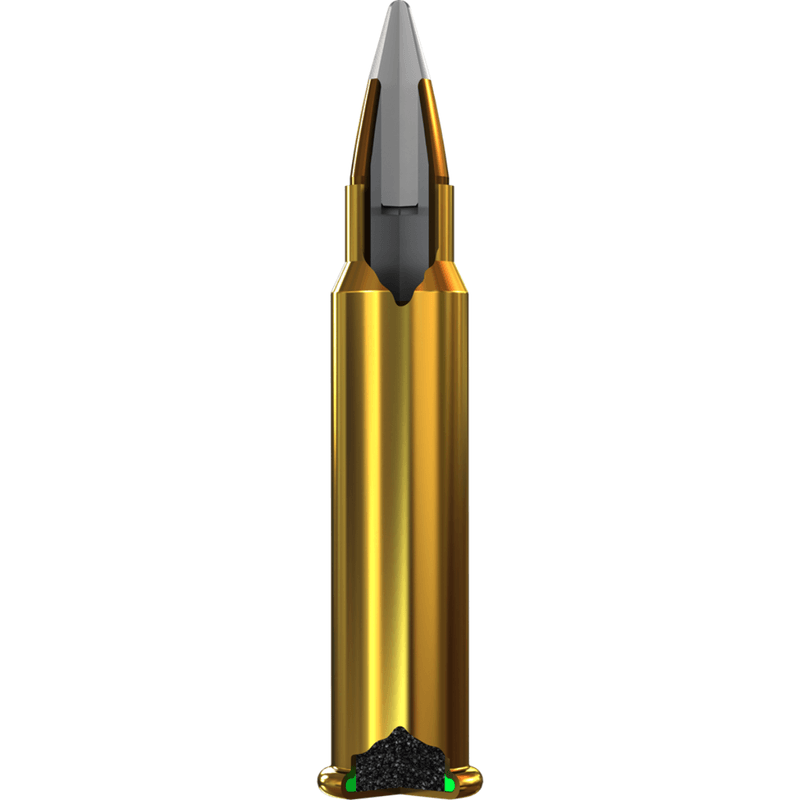 Winchester-Varmint-High-Velocity-Ammo---17-Grain-V-Max.jpg