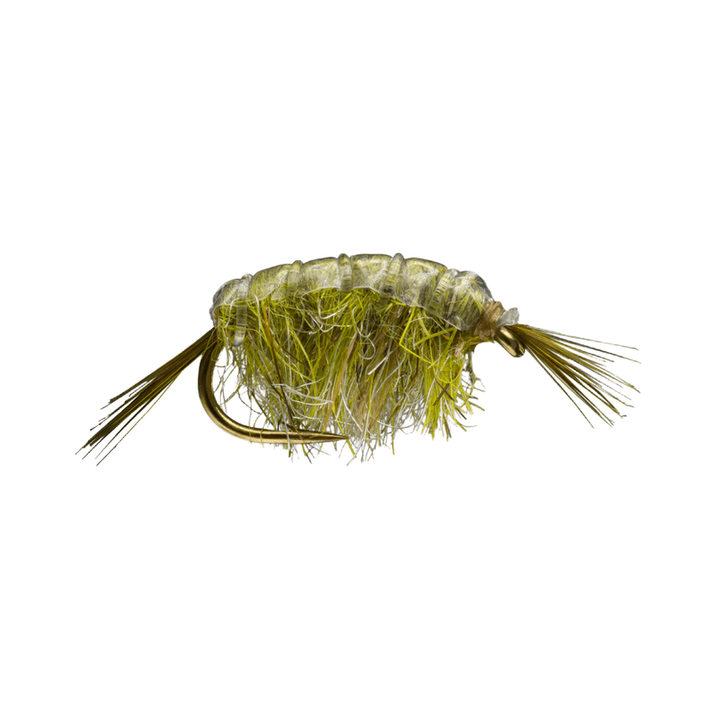 RIO Scud Fly (12 Pack) - Dark Olive.jpg