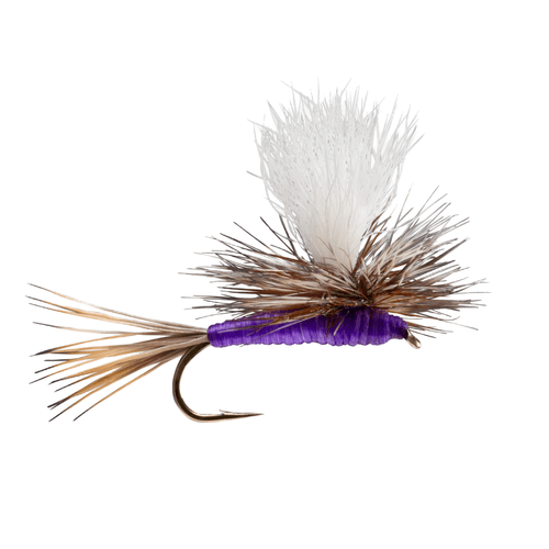 Rio Parachute Fly