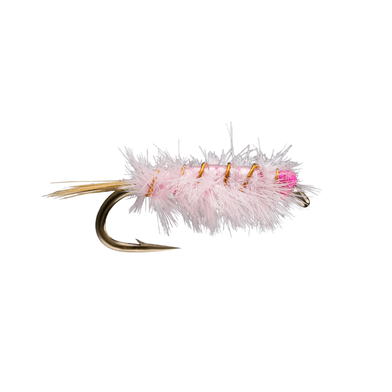RIO-Ray-Charles-Fly--12-Count----Pink.jpg