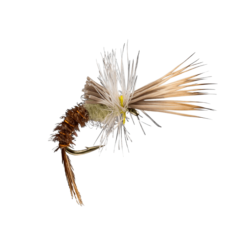 RIO-FLY-CHALLENGED---Pmd.jpg