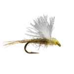 RIO-FLY-TRANSITIONAL-DUN---Pmd.jpg