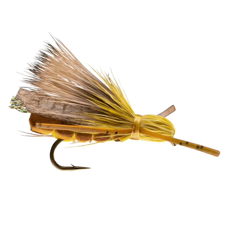 RIO-FLY-FOAM-ROGUE-STONE---Golden.jpg