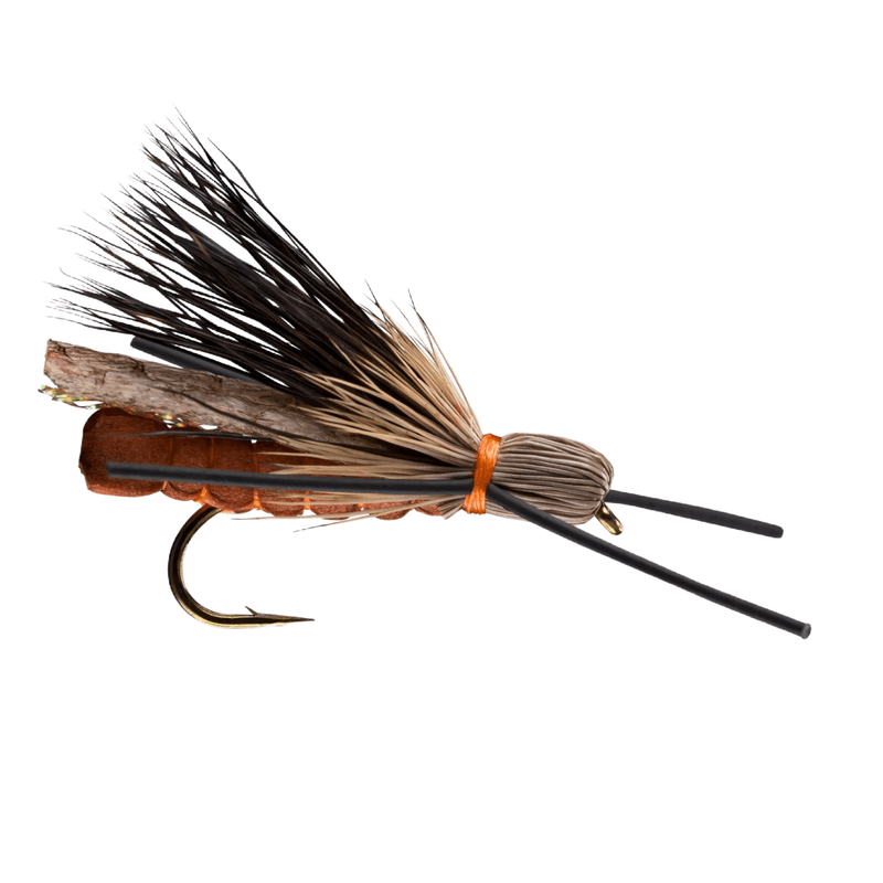 RIO FLY FOAM ROGUE STONE - Salmonfly.jpg