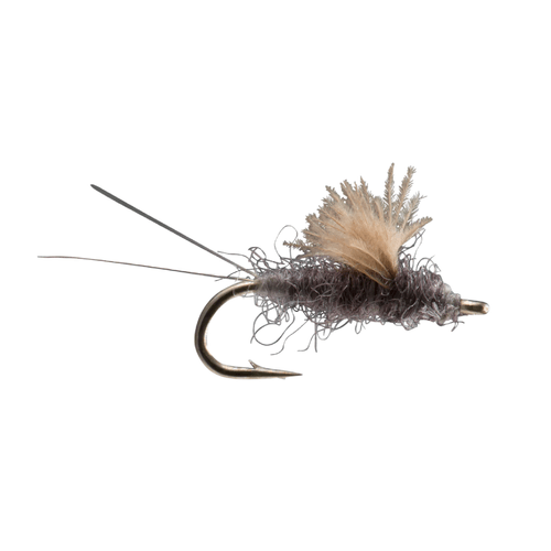 RIO RS2 CDC Fly