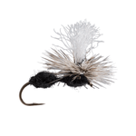 RIO-Para-Ant-Fly--12-Count----Black.jpg