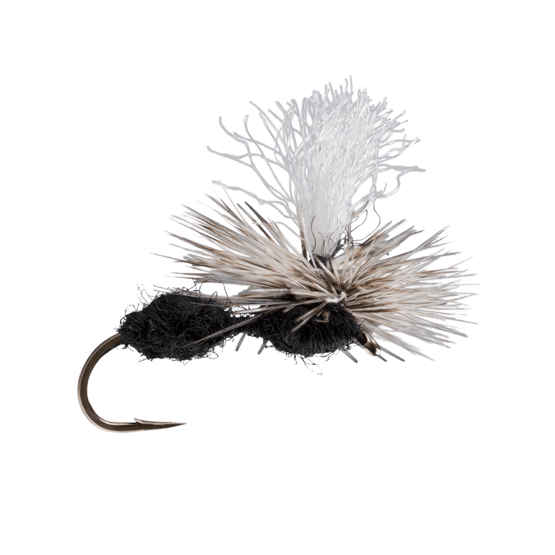 RIO-Para-Ant-Fly--12-Count----Black.jpg