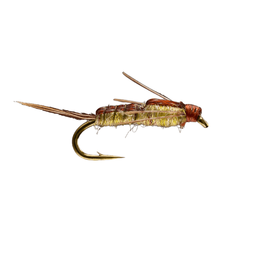 RIO PMD Nymph Fly (12 Count)