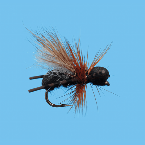 Solitude Fly CFO Ant Fly (12 Count)