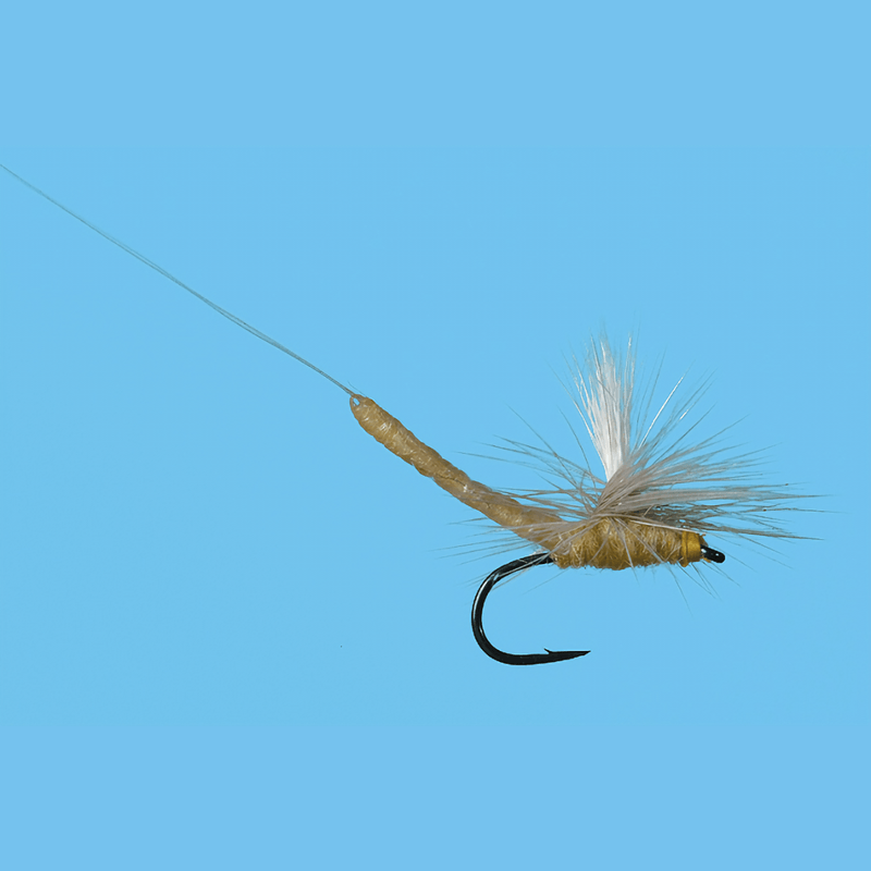 SOLITU FLY PARACHUTE EXT. BODY - PMD.jpg