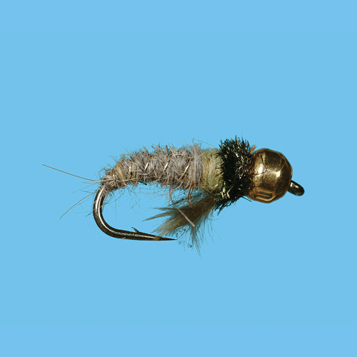 Solitude Tungsten Caddis Larva Fly (12 Count)