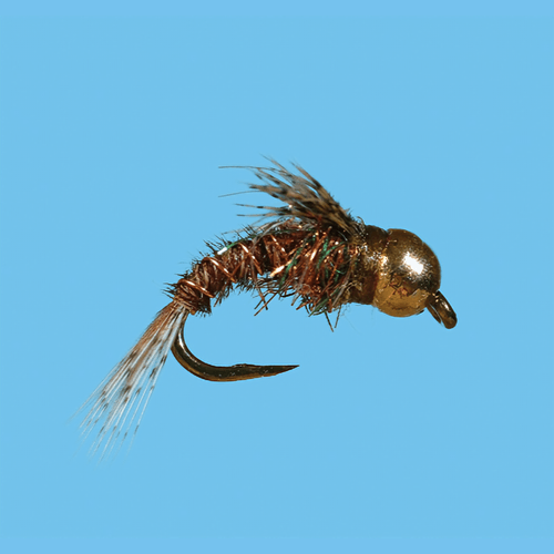 Solitude Fly Tungsten Flash Bug Fly(12 Count)