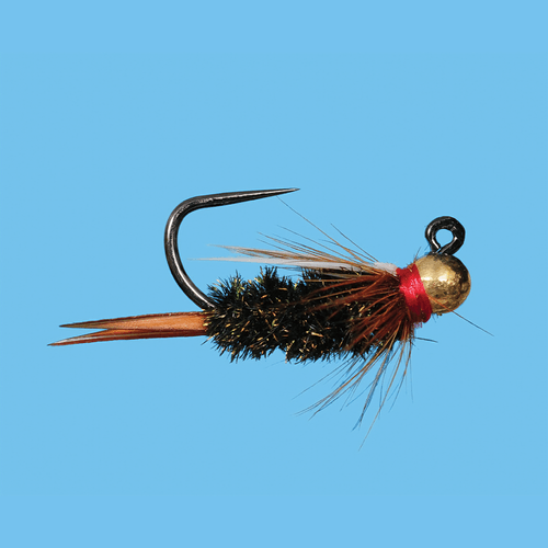 Solitude Fly Tungsten Jig Prince Fly(12 Count)