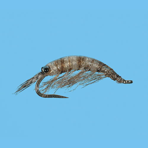 Solitude Fly Ultra Scud Fly (12 Count)