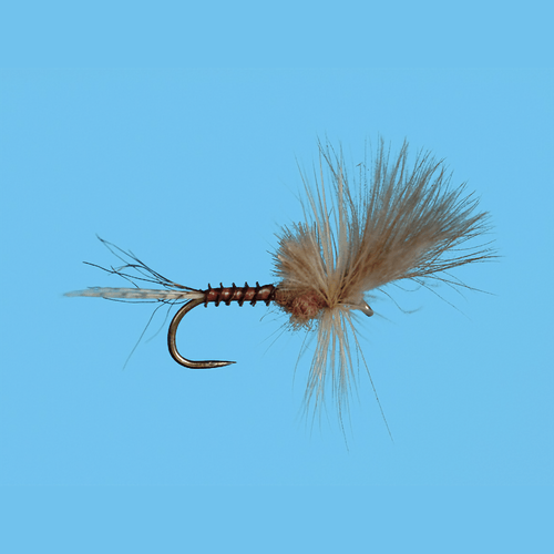 Solitude Fly Solitude Last Chance Cripple Fly (12 Count)