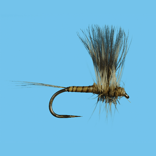 Solitude Cdc Thorax Fly (12 Count)