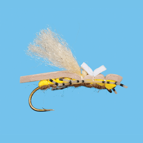 Solitude Fly J. Slam Fly (12 Count)