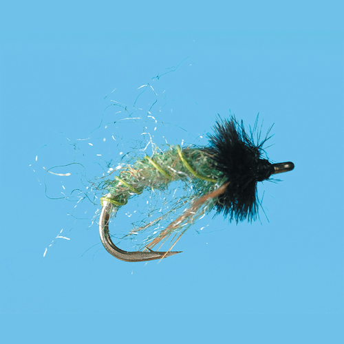 Solitude Fly Caddis Electric Rock Worm Fly (12 Count)