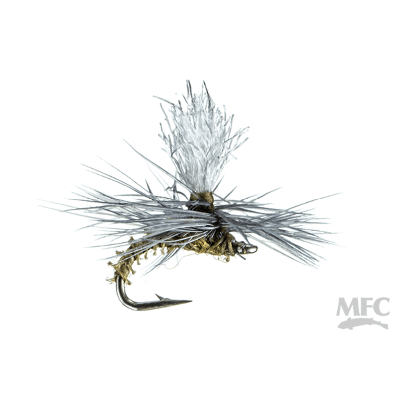 MFC-Christiaen-s-GT-Adult-Fly--12-Count----BWO.jpg