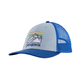 Patagonia P-6 Logo LoPro Trucker Hat - Steam Blue.jpg