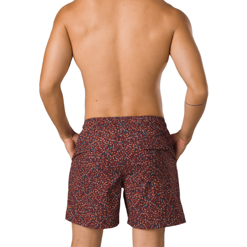 Prana swim sale shorts