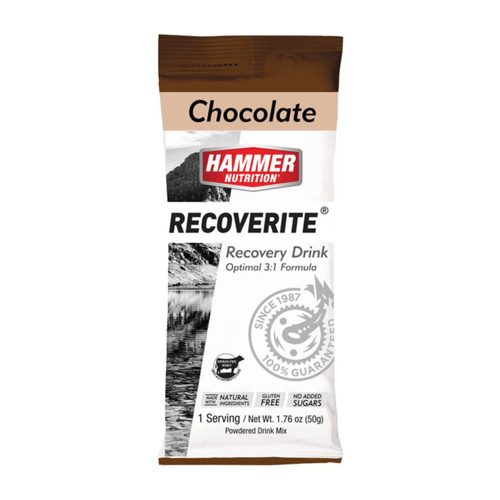 Hammer Nutrition Recoverite Drink Mix