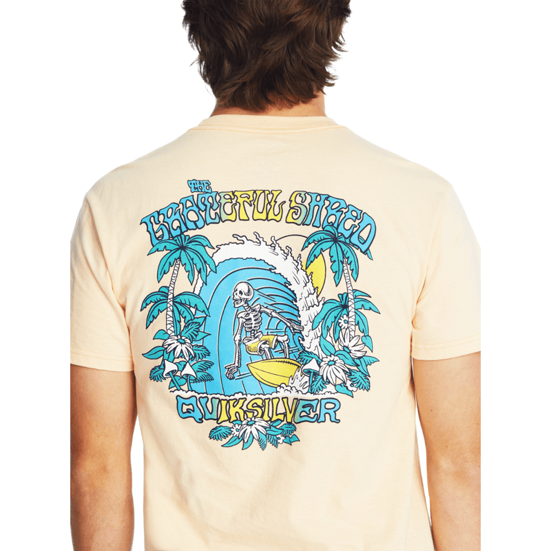 Quiksilver-Golden-Hours-T-Shirt---Men-s---Almond-Cream.jpg