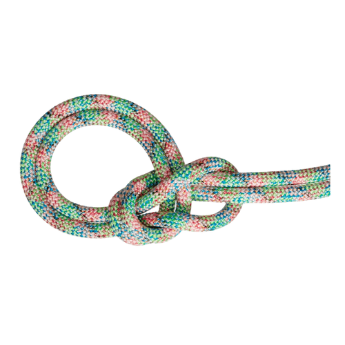 Mammut 9.5 Crag We Care Dry Climbing Rope