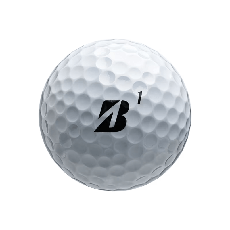 Bridgestone E6 Golf Ball (6 Pack)