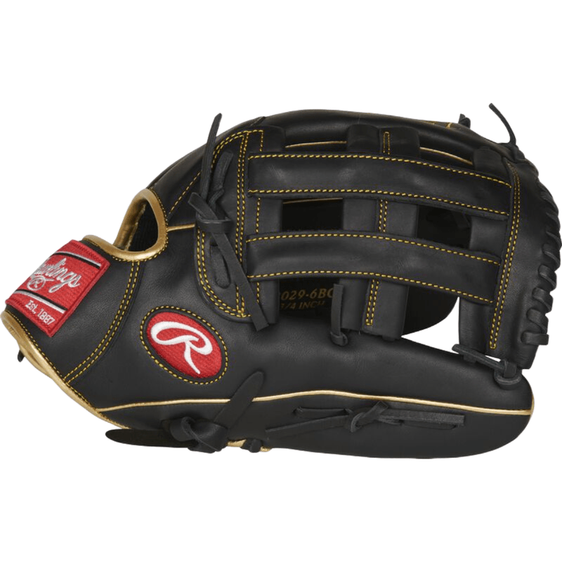 Rawlings-R9-Baseball-Glove---Black---Gold.jpg