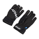 Oakley Factory Winter Glove 2.0 - Men's - Black.jpg