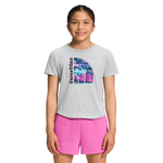 The-North-Face-Short-Sleeve-Graphic-Tee---Girls----TNF-Light-Grey-Heather---Scuba-Blue.jpg