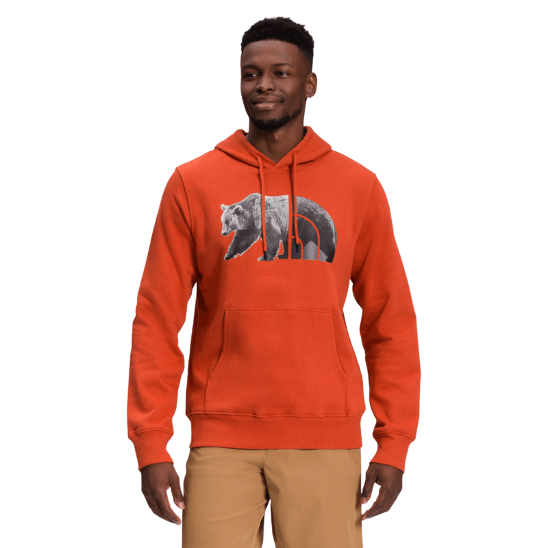 The north face men's clearance pullover big bear hoodie