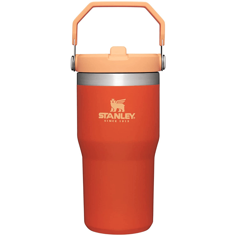 Stanley-The-IceFlow-Flip-Straw-Tumbler---20oz---Tigerlily.jpg