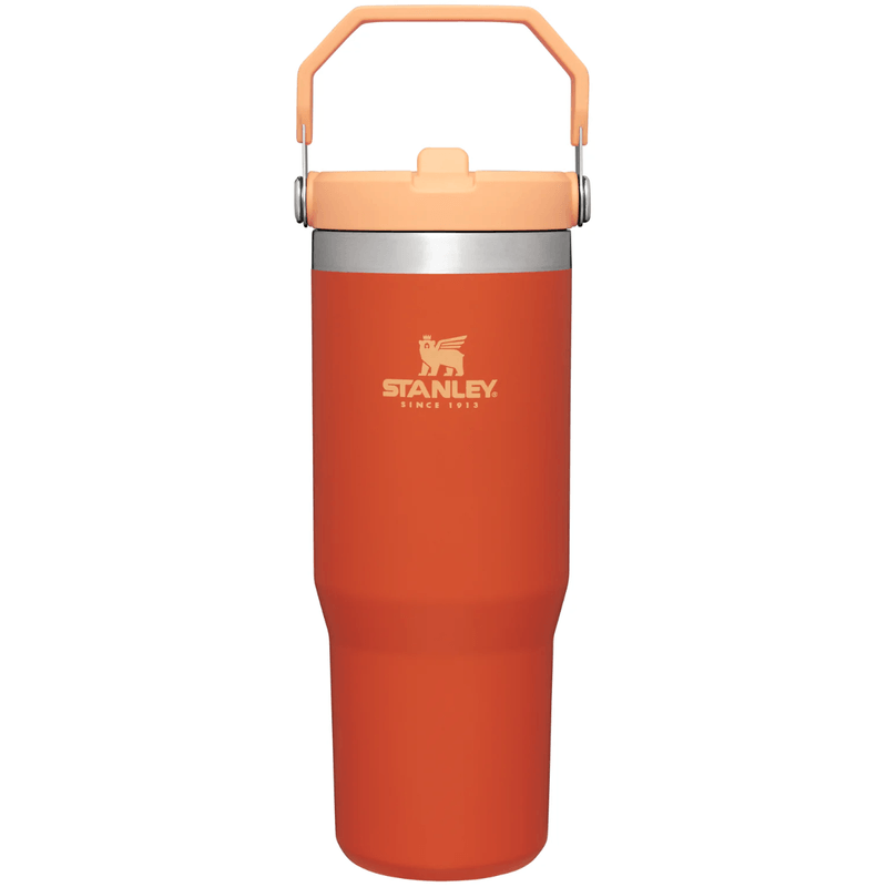 Stanley-The-IceFlow-Flip-Straw-Tumbler---30oz---Tigerlily.jpg