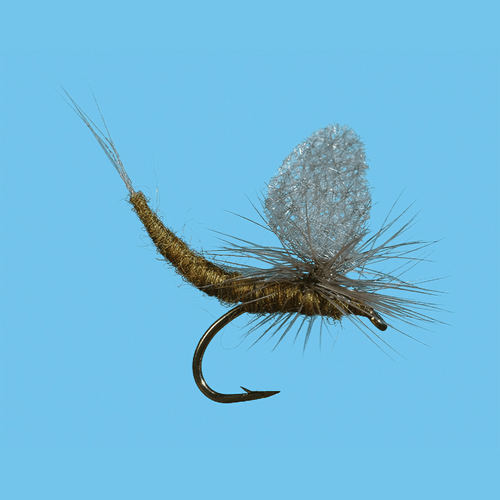 Solitude Fly Blue Wing Olive Extended Body Fly (12 Pack)